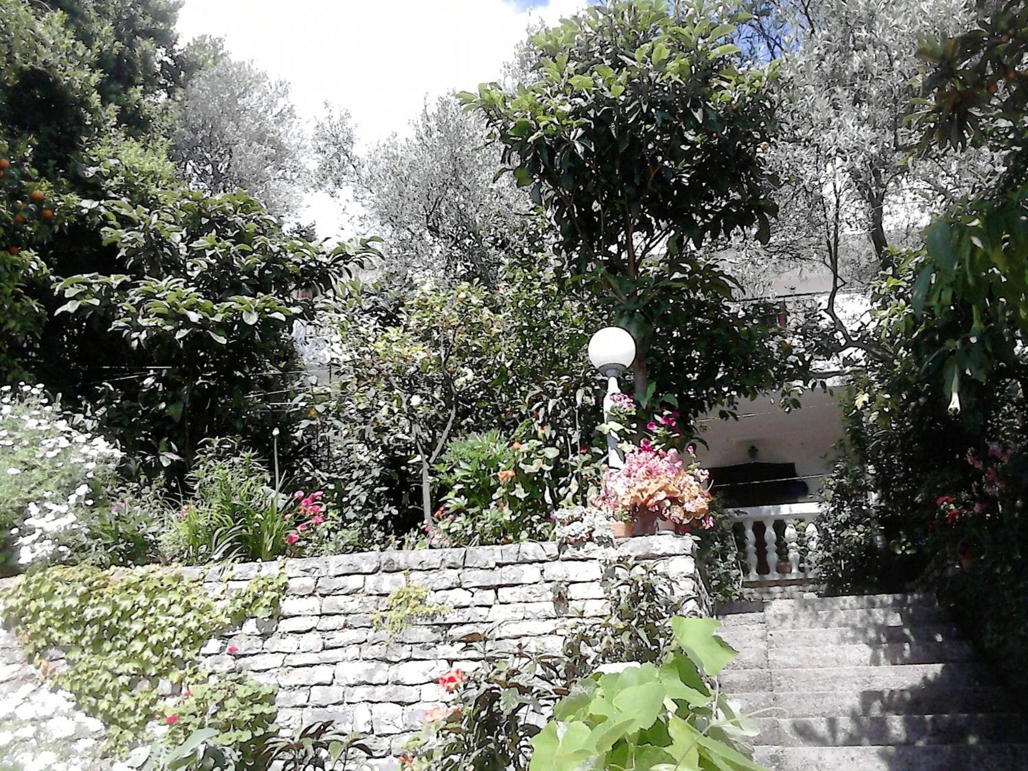 Oaza Guest House スヴェティ・ステファン エクステリア 写真