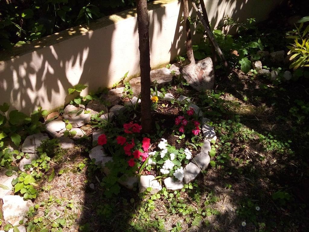 Oaza Guest House スヴェティ・ステファン エクステリア 写真