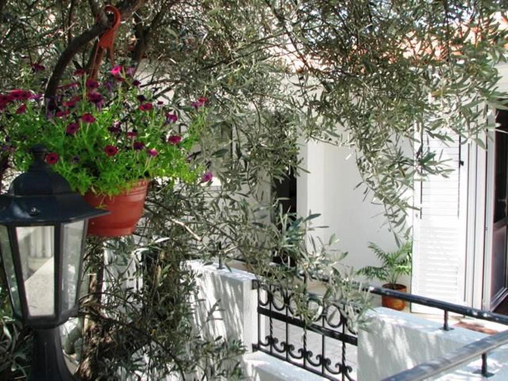 Oaza Guest House スヴェティ・ステファン エクステリア 写真